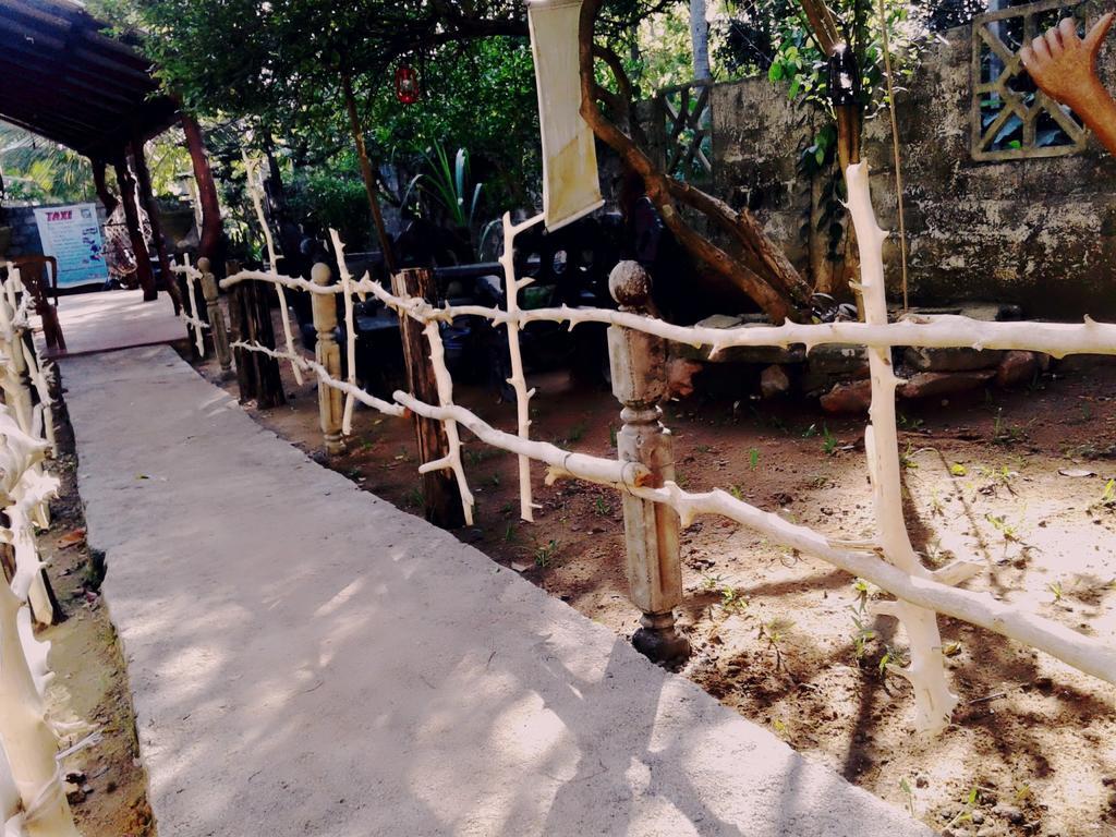 Bluesky Guest House Dambulla Ngoại thất bức ảnh