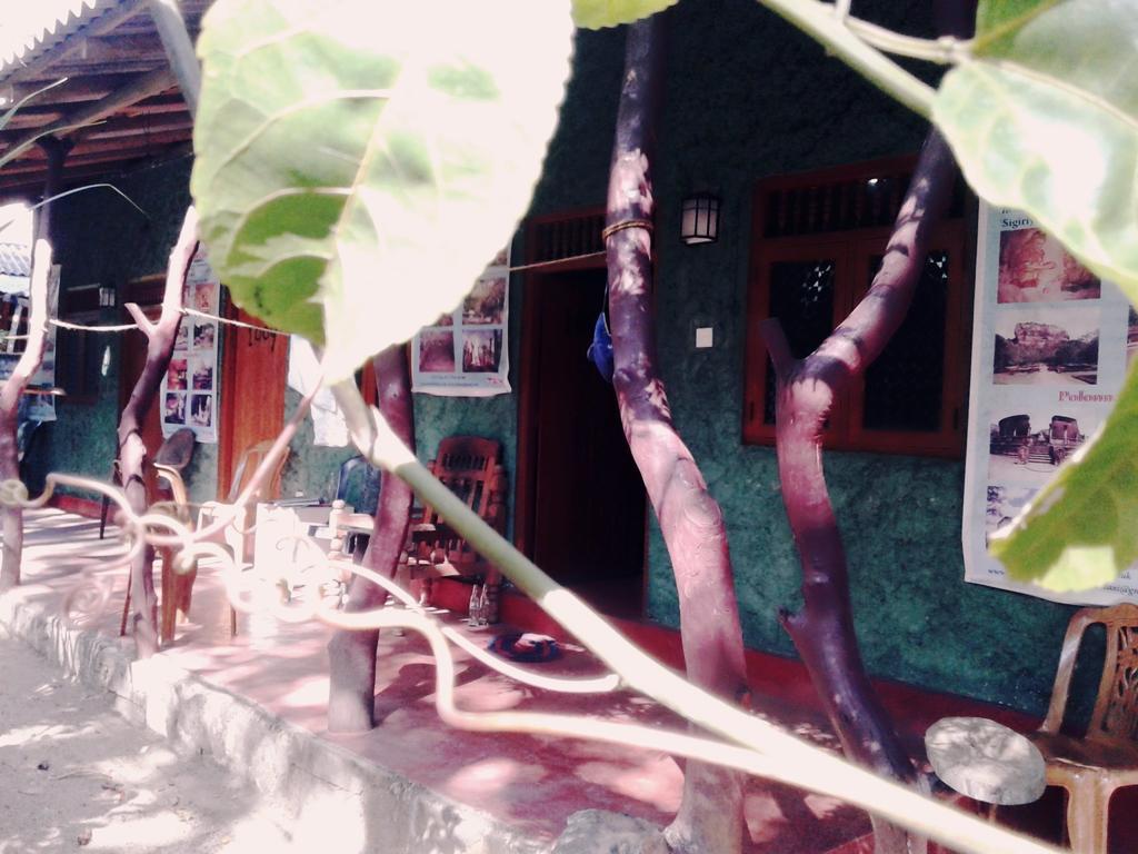 Bluesky Guest House Dambulla Ngoại thất bức ảnh