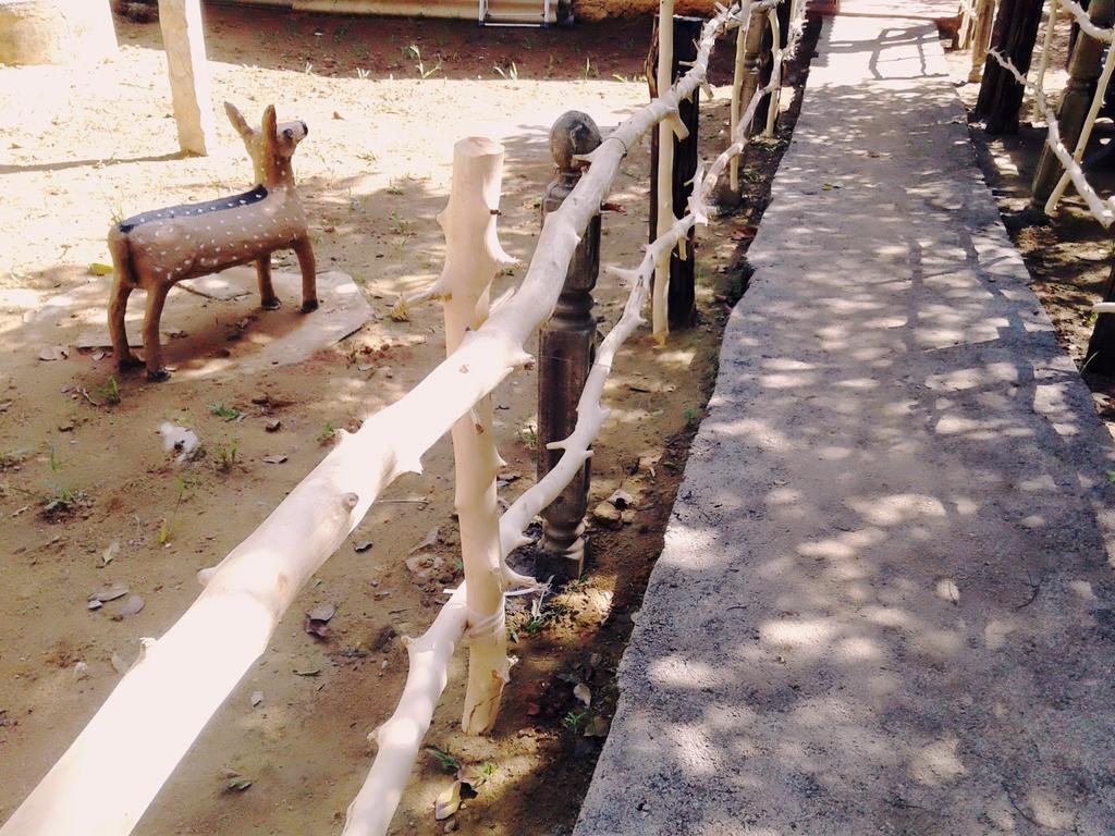 Bluesky Guest House Dambulla Ngoại thất bức ảnh